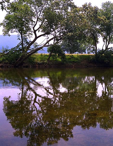 Shenandoah River