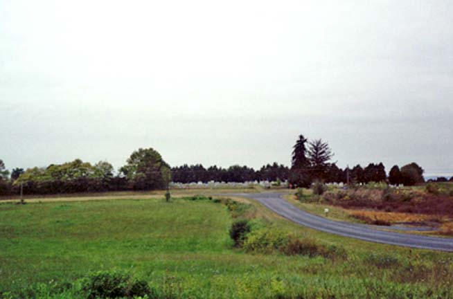 landscape with road