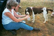 Pam Shares with a dog