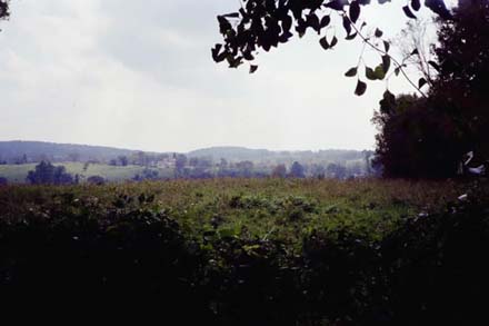 Rural view