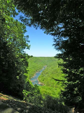 view framed by trees