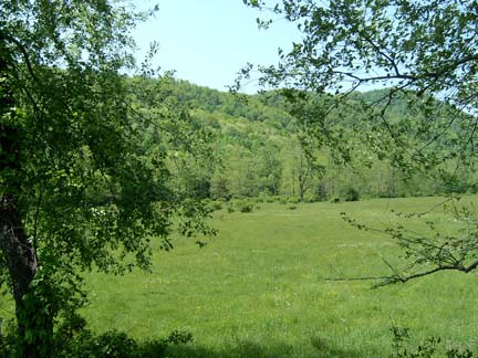 Elkwater hills