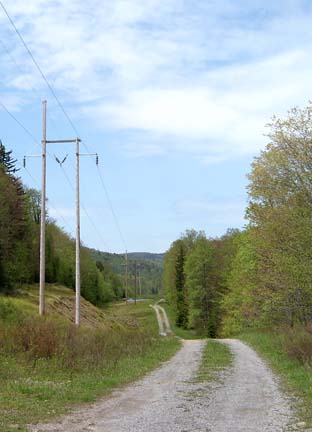 old road on Cheat Mtn.